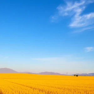 California landscape representing economic strength