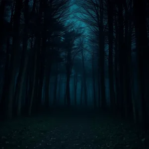 A dark forest symbolizes danger and vulnerability.