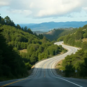 Winding Ortega Highway surrounded by trees
